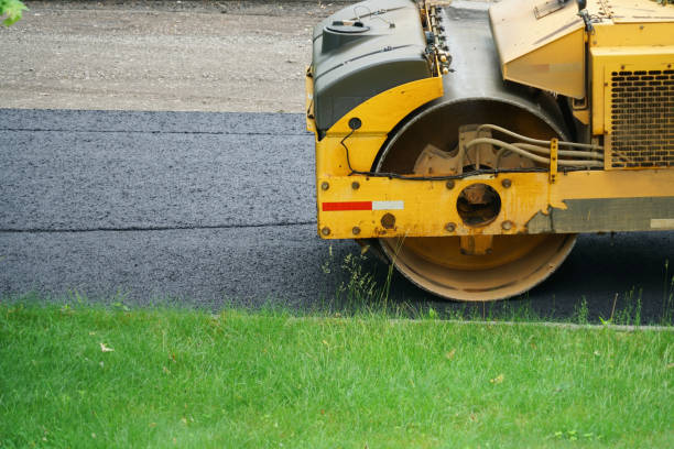 Best Driveway Pavers Near Me  in Le Roy, IL